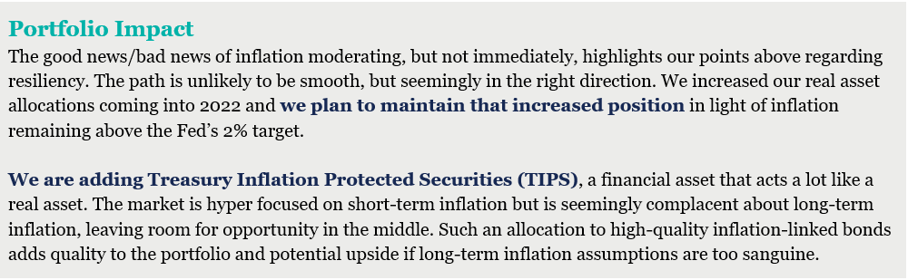 2023 Portfolio Impact real assets and TIPS